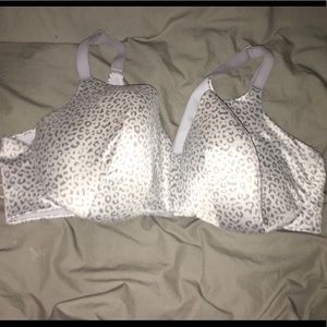 Back Smoothing Full Coverage by Cacique